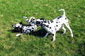 Bild 01