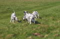 Bild 02