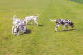 Bild 03