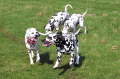 Bild 04