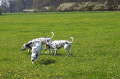 Bild 05