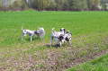 Bild 06