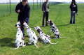 Bild 07