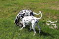 Bild 08