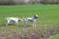 Bild 09