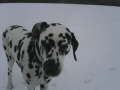 Hornberg 2007 01 28