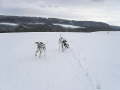 Hornberg 2007 01 28