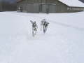 Hornberg 2007 01 28
