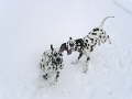 Hornberg 2007 01 28