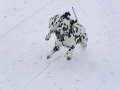 Hornberg 2007 01 28