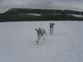 Hornberg 2007 01 28